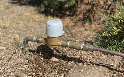 New technology to help Moama residents save on water bills – Murray River Council
